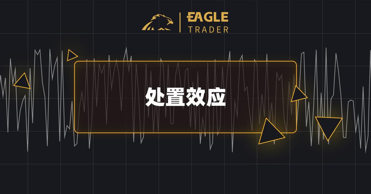 �˳ǹ��������